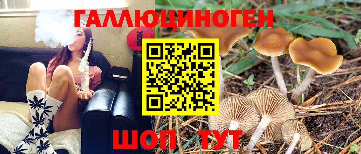 Псилоцибиновые грибы Cubensis  Галлюциногенные грибы MAGIC MUSHROOMS  Кулебаки  Вход с VPN 